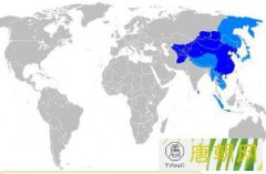 唐朝历史上的国土面积达到的最西边是哪里？